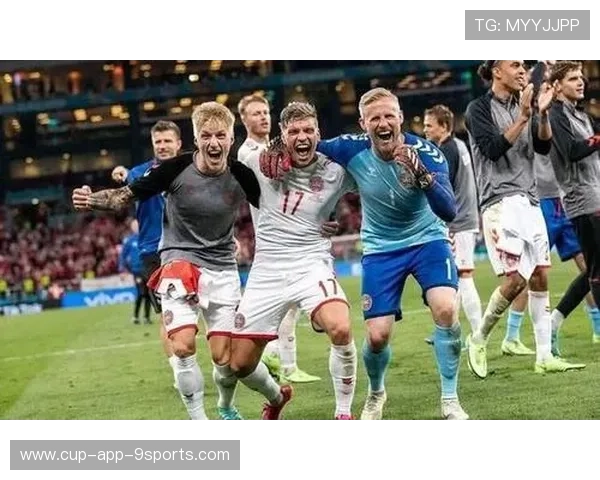 威尔士处于换代期，球队表现略显起伏不定